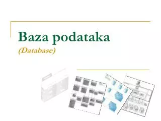baza podataka database