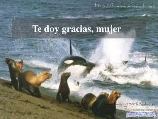 te doy gracias mujer