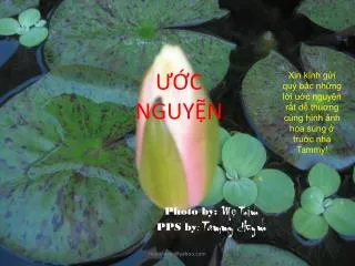 c nguy n