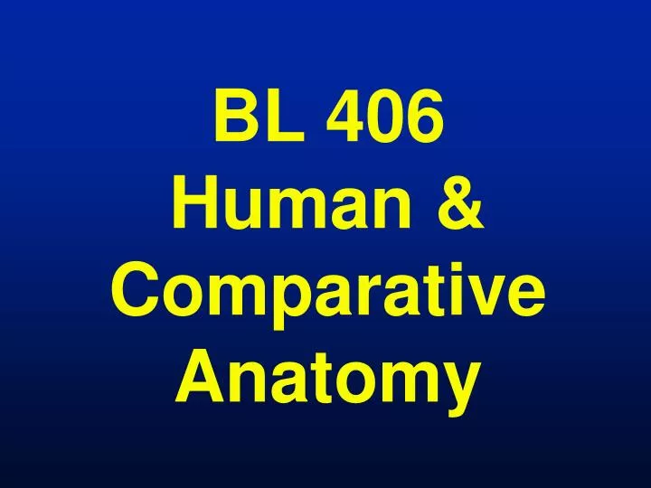 bl 406 human comparative anatomy