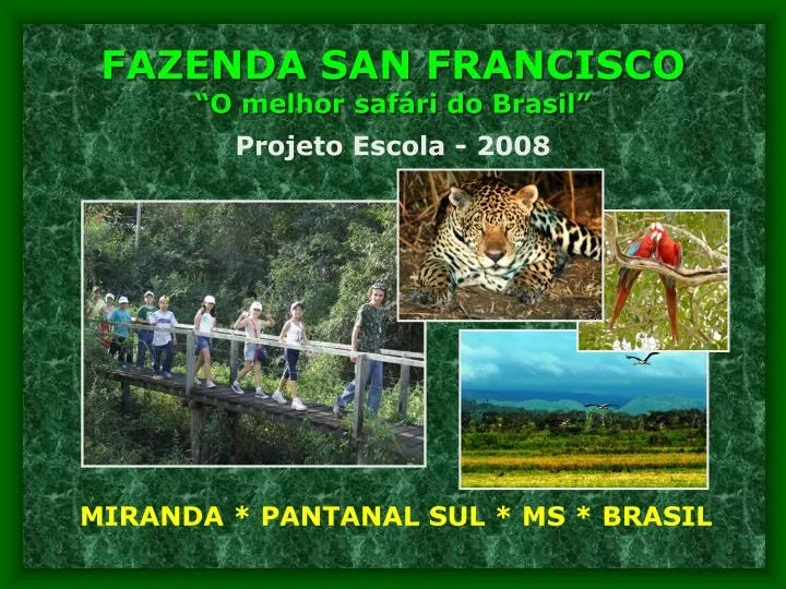 fazenda san francisco o melhor saf ri do brasil