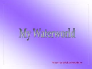 My Waterworld