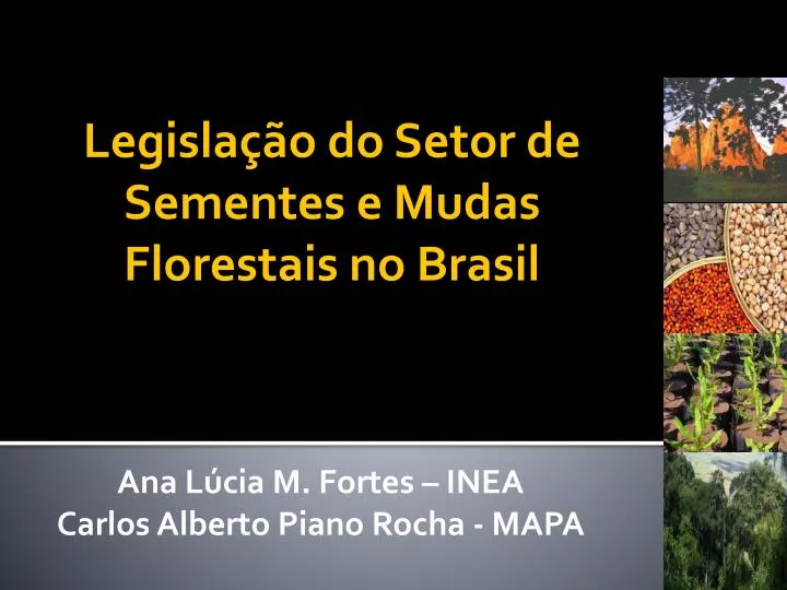 legisla o do setor de sementes e mudas florestais no brasil