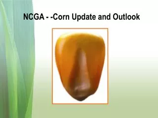 NCGA - -Corn Update and Outlook