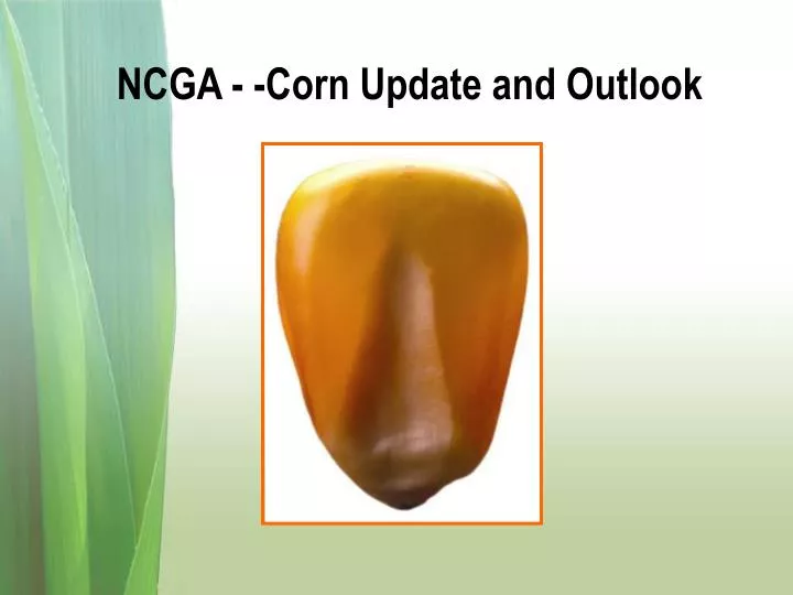 ncga corn update and outlook