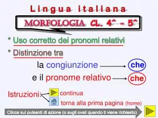 morfologia cl 4 5