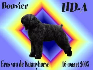 Eigenaar: de Windt Andy Eros staat ter dekking vanaf 2007. Voor inlichtingen