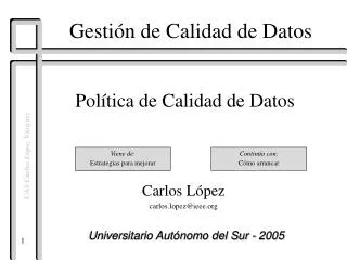gest i n de calidad de datos