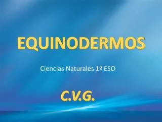 equinodermos