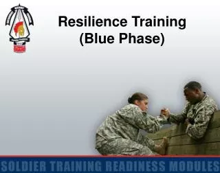 Resilience Training (Blue Phase)