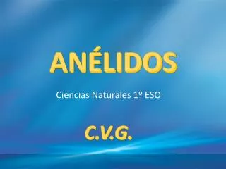 an lidos