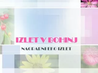 izlet v bohinj