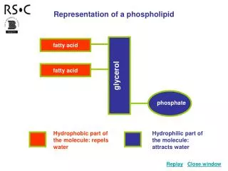 glycerol