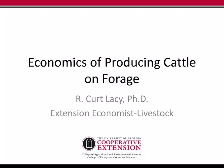 economics of producing cattle on forage