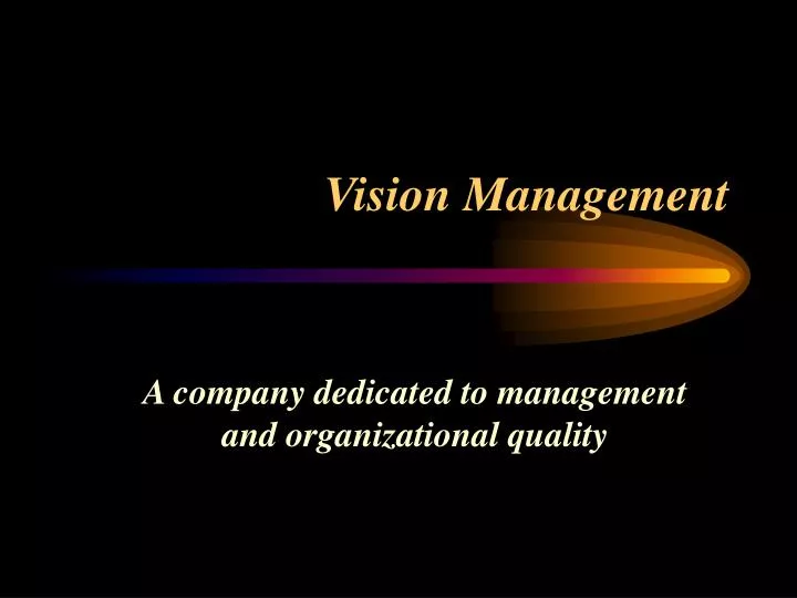 vision management