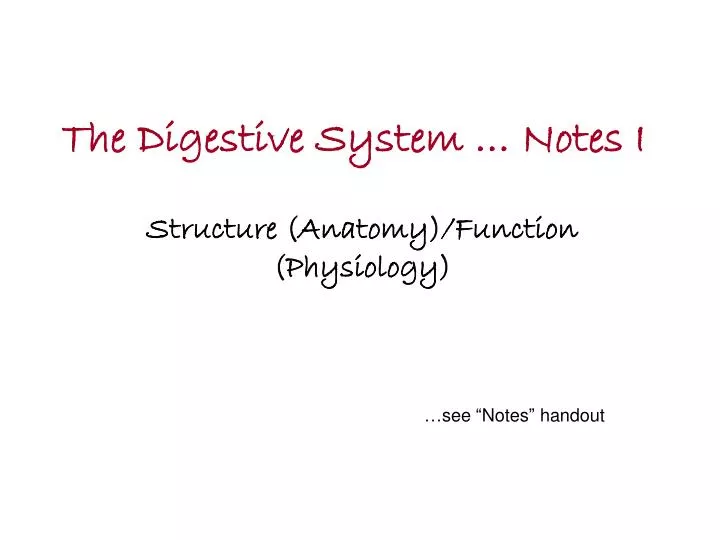 the digestive system notes i