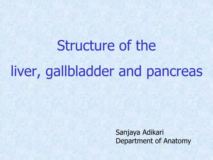 structure of the liver gallbladder and pancreas
