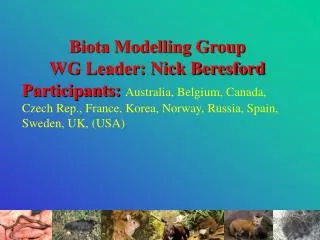 Biota Modelling Group WG Leader: Nick Beresford