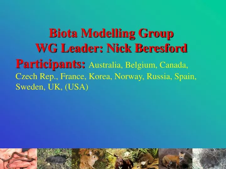 biota modelling group wg leader nick beresford