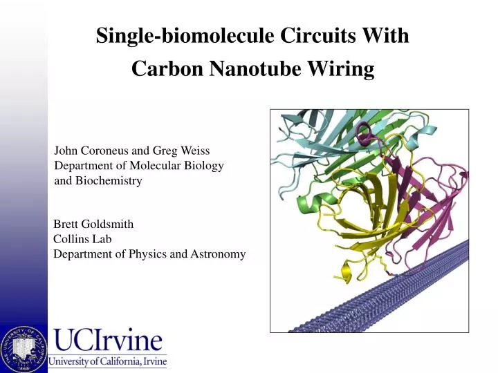 single biomolecule circuits with carbon nanotube wiring