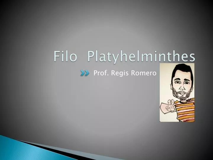 filo platyhelminthes