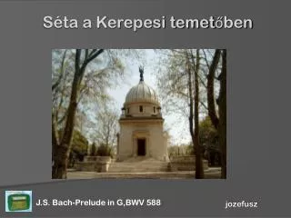 s ta a kerepesi temet ben
