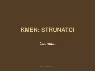 kmen strunatci