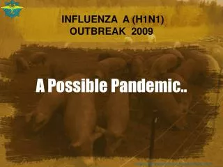 INFLUENZA A (H1N1) OUTBREAK 2009