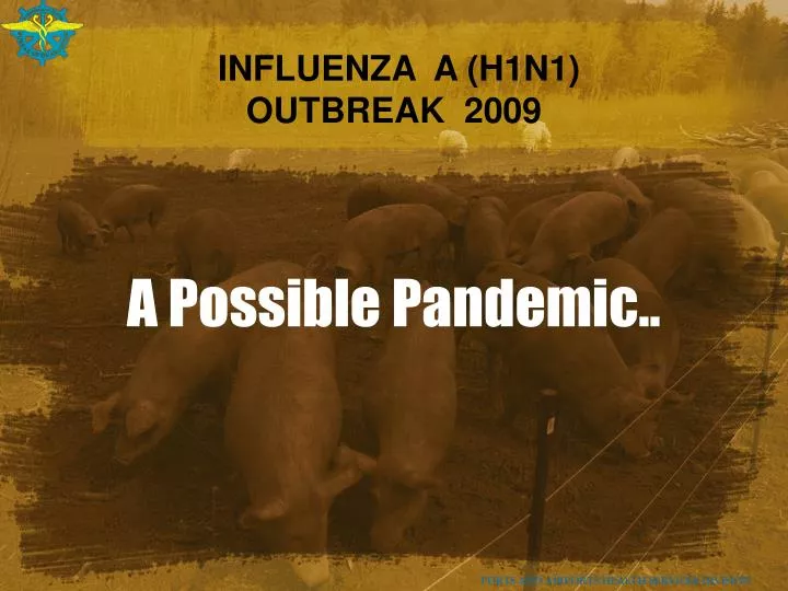 influenza a h1n1 outbreak 2009