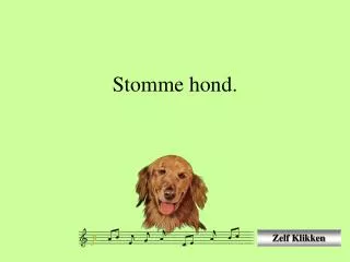 stomme hond