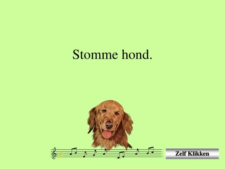 stomme hond