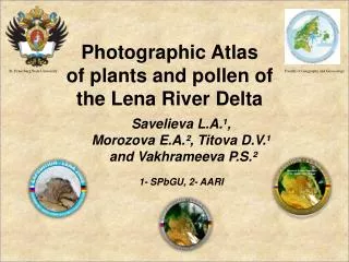 Photographic Atlas of plants and pollen of t he Lena River D elta