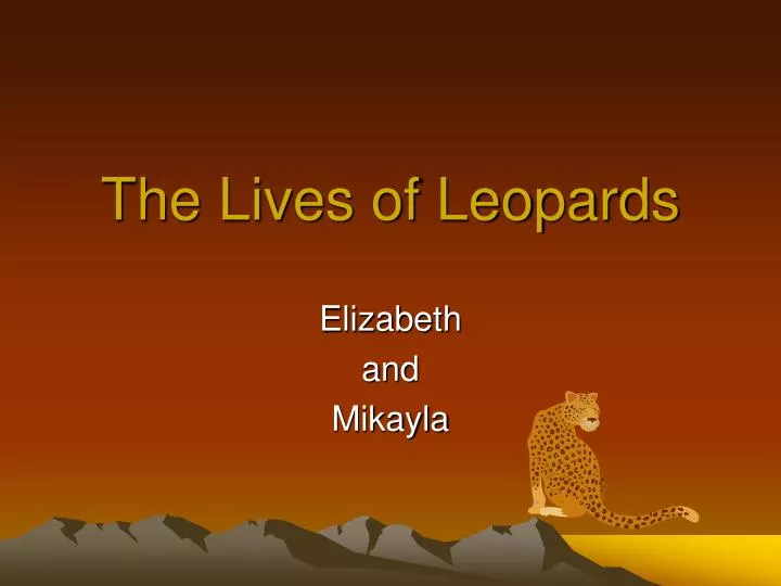 the lives of leopards