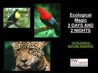 Ecological Magic 3 DAYS AND 2 NIGHTS