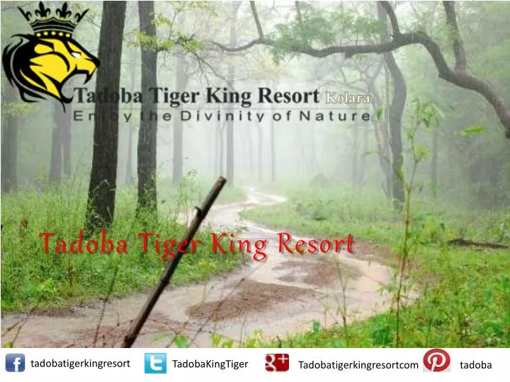 tadoba tiger king resort