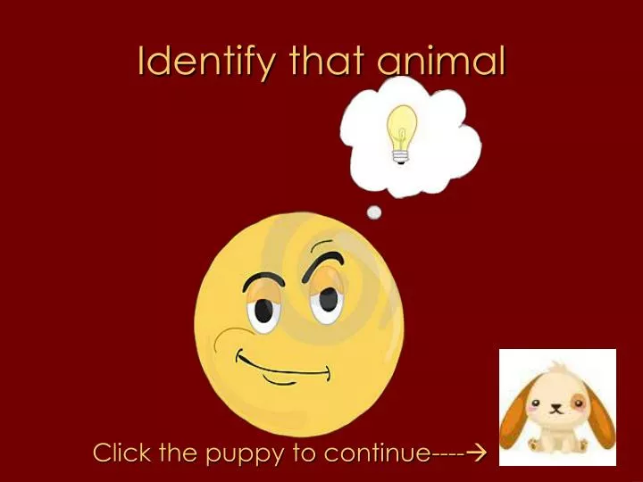 identify that animal