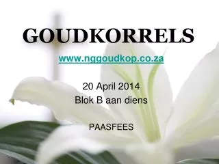 goudkorrels