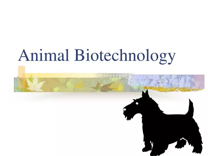animal biotechnology