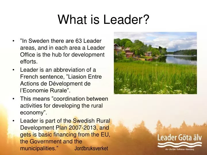 what is leader