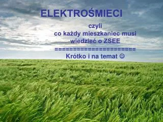 elektro mieci