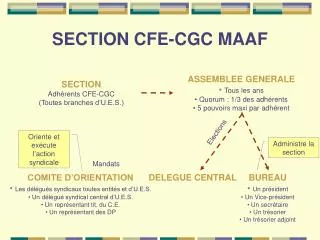 section cfe cgc maaf