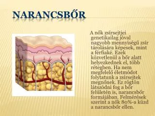 narancsb r