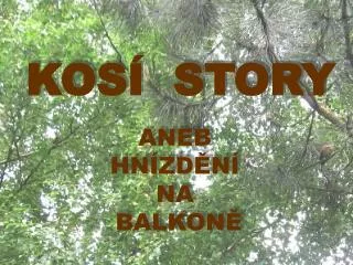 kos story