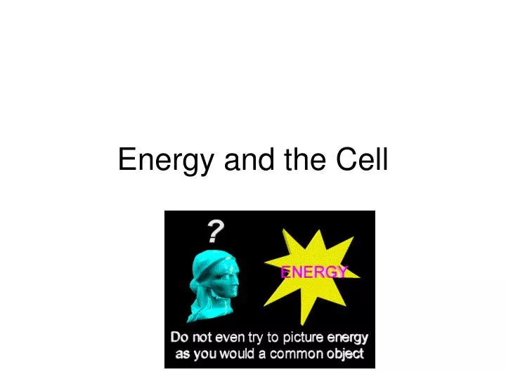 energy and the cell