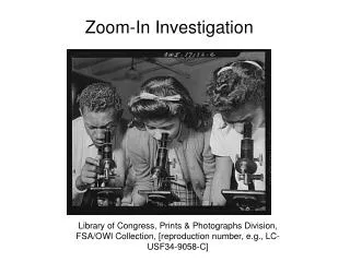 Zoom-In Investigation