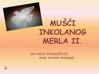 mu i inkolanog merla ii