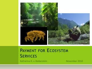 Payment for Ecosystem Services