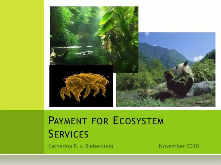 payment for ecosystem services