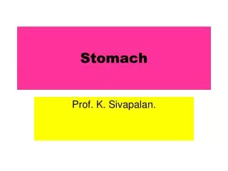 Stomach