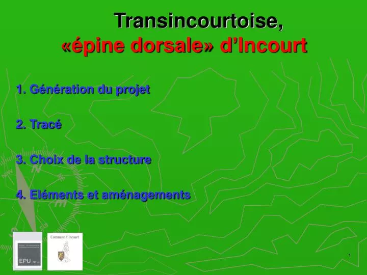 transincourtoise pine dorsale d incourt